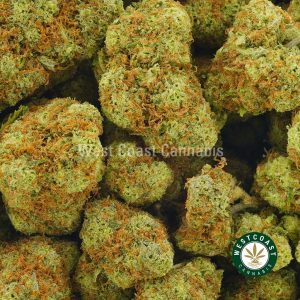 Buy Cannabis Jelly Breath at Wccannabis Online Shop