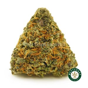 image of lindsay OG weed for sale online in canada at west coast cannabis store. where to buy weed online in Canada. Buy the best shatter online. Order Ice cream cake strain, gorilla glue #4 weed online.