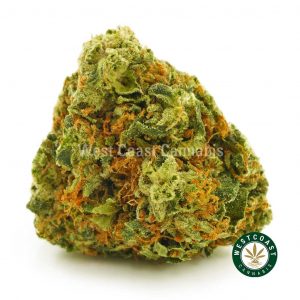 Buy Cannabis Rockstar at Wccannabis Online Shop
