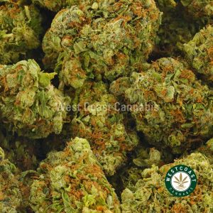 Buy Cannabis Rockstar at Wccannabis Online Shop