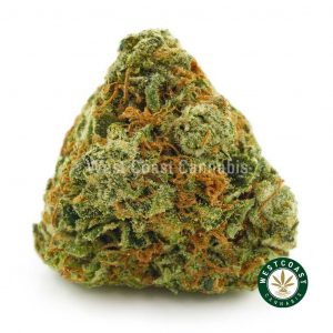 big bud of UBC Chemo weed for sale online. Order weed online and marijuana strains like layer cake strain weed, super pink strain, blue god weed strain, and island pink weed from west coast cannabis.