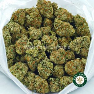 UBC Chemo weed strain for sale from west coast canabis. Buy blueberry god weed online at west coast cannabis mail order marijuana dispensary. Order marijuana budder, live rosin, and thca diamonds canada.