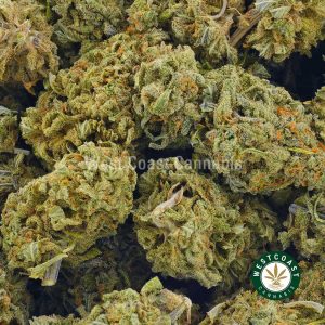 Buy Cannabis Green Lantern at Wccannabis Online Shop