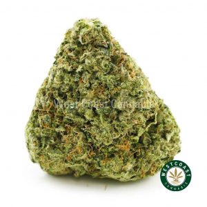 image of Atomic Nothern Lights weed for sale from west coast cannabis online marijuana dispensary. Buy weed in canada online. West coast online cannabis shop sells sour cookies weed, thc cookies weed in canada.