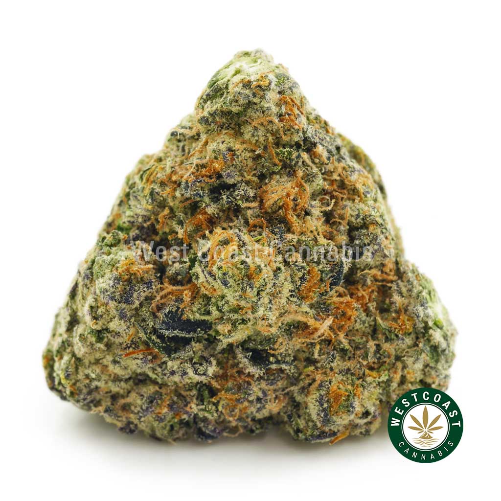 photo of Milky Way weed for sale online from canada's best online marijuana dispensary. buy cannabis online in canada. Shop weed strains like fruity pebbles strain, green crack weed, bubba kush, and purple kush weed.