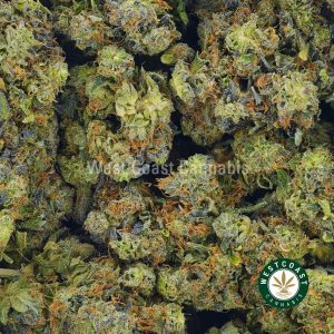 product image of Power Plant weed strain for sale online at west coast cannabis. Order weed online and marijuana strains like layer cake strain weed, super pink strain, blue god weed strain, and island pink weed from west coast cannabis.