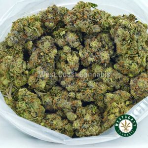 buy these popcorn weed buds Power Plant weed strain online. Buy weed online and pot strains like island pink strain, purple space cookies weed, and jungle cake strain weed online from west coast canabis online dispensary.