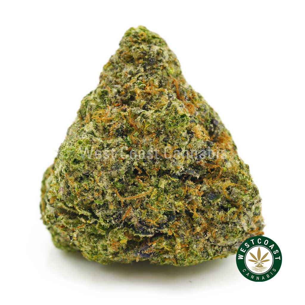 product photo of close up of Galactic Gas pot for sale. buying weed online is easy at west coast cannabis online dispensary. Buy chernobyl strain, bubba kush strain, sfv strain, and platinum cookies strain.