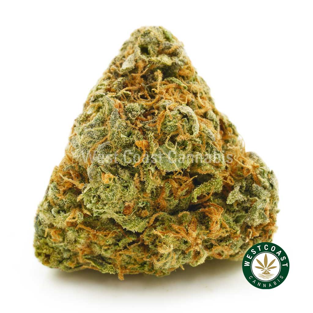 Image of Yoda's Brain strain bud for sale. Buy pink unicorn strain weed online, donkey breath strain, and thc distillate canada from best online mail order marijuana dispensary.