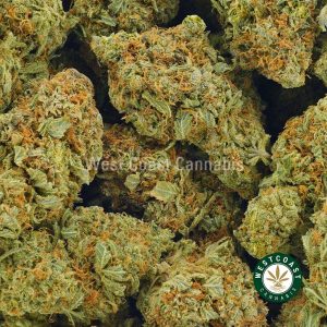 Yoda's Brain weed strain for sale from west coast cannabis. Buy west coast cartridges from west coast canabis online dispensary. Buy caviar dabs, canada distillate thc, and purple lights strain weed online.