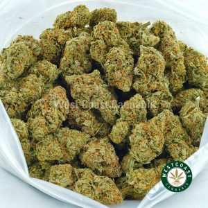 Yoda's Brain strain weed for sale. online dispensary. Buy weed online from online dispensary alberta. buy edibles online, violator kush and cannabis crumble wax from west coast cannabis.