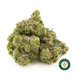 photo of weed for sale online in canada Pink God strain. order weed online get the best cannabis canada. buying weed online is fast at west coast cannabis. Buy weed moon rocks online.