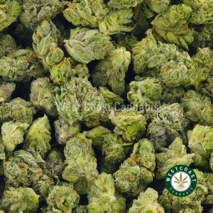 close up image of pink god popcorn buds for sale from west coast cannabis. buying weed online is easy at west coast cannabis online dispensary. Buy chernobyl strain, bubba kush strain, sfv strain, and platinum cookies strain.