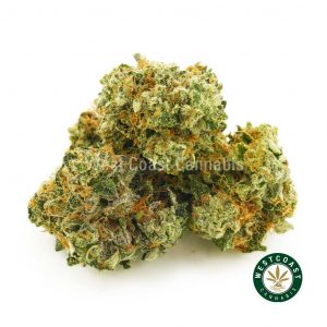 photp of Purple Diesel popcorn weed to order online in canada. buy cannabis online in canada. Shop weed strains like fruity pebbles strain, green crack weed, bubba kush, and purple kush weed.