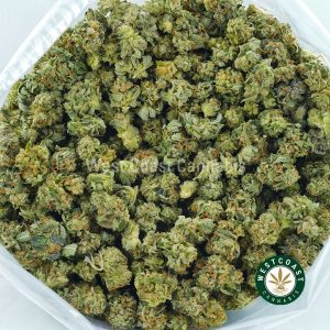 big bag of Purple Diesel weed strain for sale online in canada from wccannabis.co. buy weed online in Canada. Buy popular weed strains like gelato strain northern lights strain, pineapple express strain, and cherry pie strain.