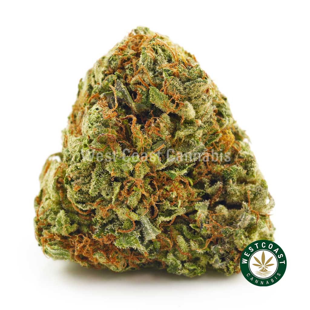 Pink Alien Cookies weed bud nugget. Buy weed online and diablo kush, blueberry triple og, do si so, and canned weed online. where to order edibles online. canada rosin, sweet haze strain.