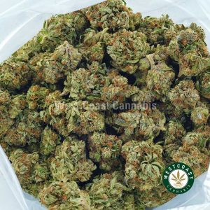 buy Pink Alien Cookies weed online from west coast cannabis. Order weed online. Buy strawberries and cream strain, dolato weed, black mango cannabis, and jelly breath marijuana from this online dispensary.