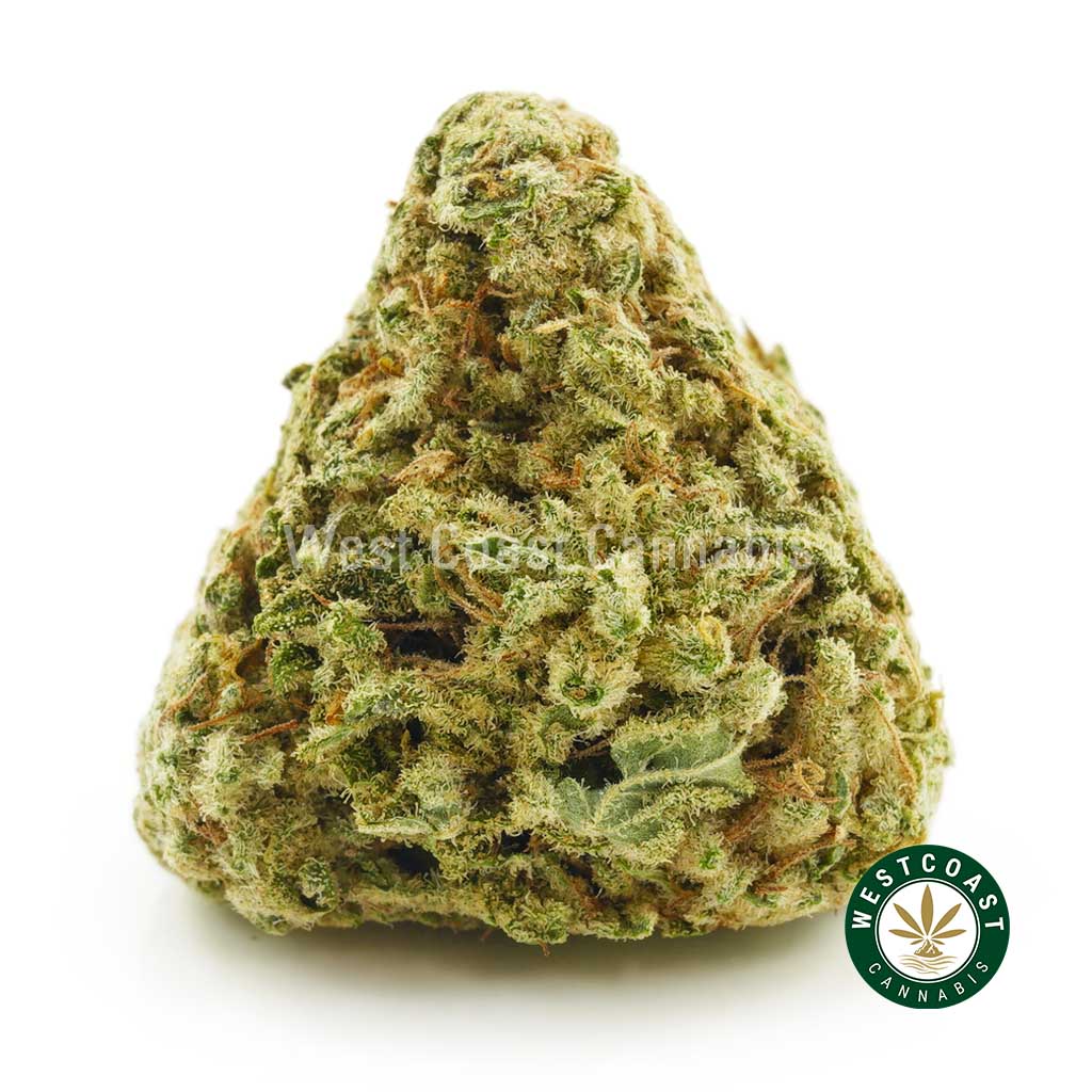 Buy White Walker weed strain online from west coast cannabis online marijuana dispensary for mail order weed in canada.