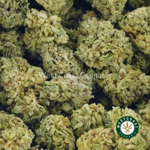 close up image of White Walker weed strain for sale at wccannabis.co. buy online weeds and westcoastweeds canada. Buy wedding cake strain online. Order blueberry faygo and master kush weed at west coast cannabis.