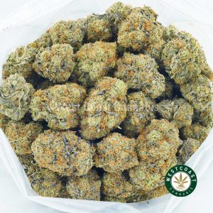 Buy Cannabis Astroboy at Wccannabis Online Shop