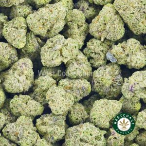 Buy Cannabis Miracle Alien Cookies Popcorn at Wccannabis Online Shop