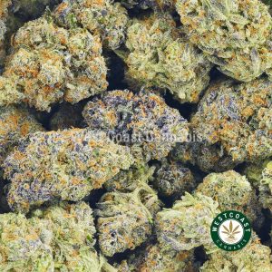 Buy Cannabis One Punch at Wccannabis Online Shop