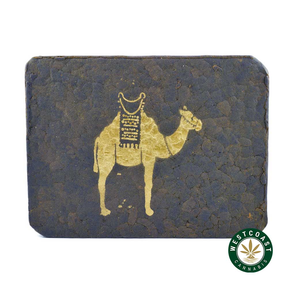 camel stamp hash and camel dung hash for sale online canada