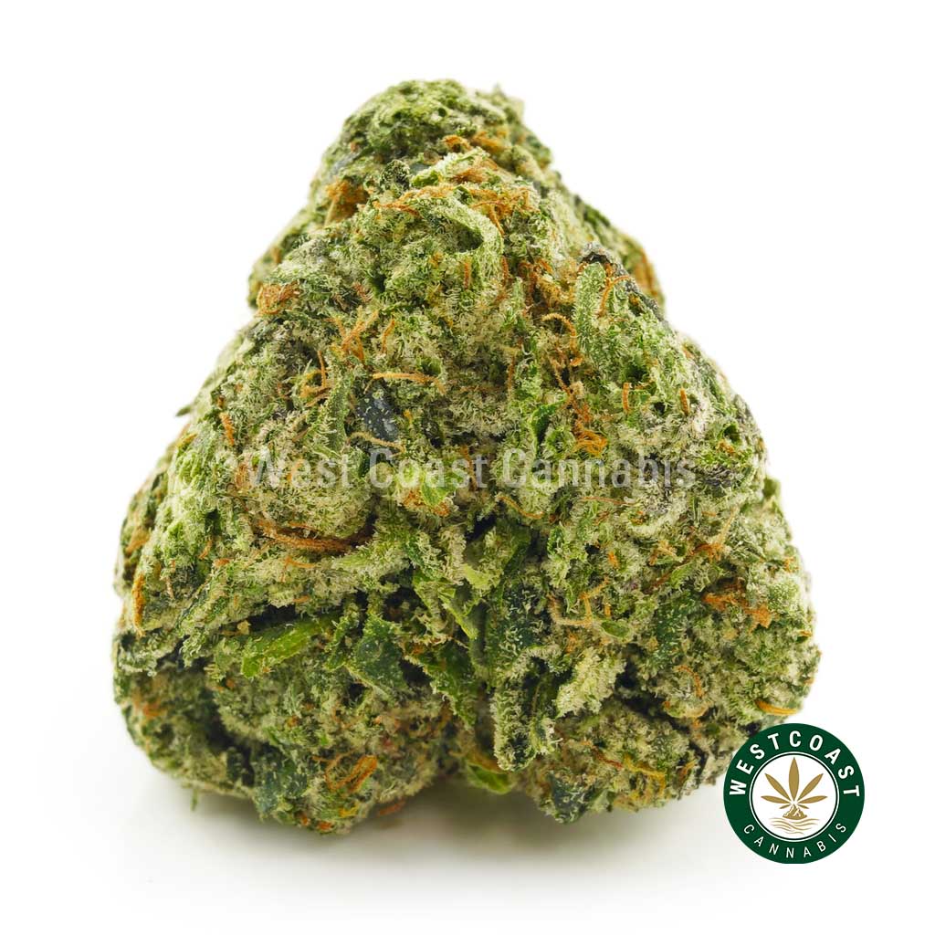 product photo of Platinum Alien Cake weed strain for sale at west coast cannabis in BC. Buy weed in canada online. West coast online cannabis shop sells sour cookies weed, thc cookies weed in canada.