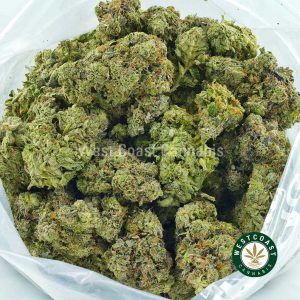 bag of weed for sale from west coast cannabis. Platinum Alien Cake weed strain. order weed online get the best cannabis canada. buying weed online is fast at west coast cannabis. Buy weed moon rocks online.