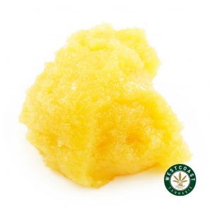 product image of scout cookies weed caviar for sale online canada. Buy platinum bubba kush, and platinum cookie weed online canada. mail order cannabis, kush mints strain & cannabis distillate for sale.