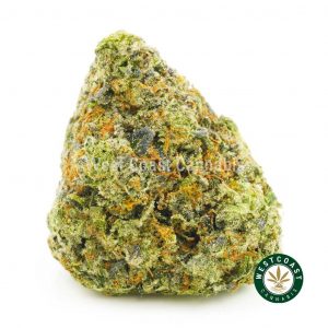 photo of Bubba Kush from west coast cannabis BC online dispensary canada to buy weed online. buy online weeds.