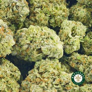 Image of Diablo Death Bubba to buy online in canada. Best online dispensary canada west coast cannabis BC bud. order weed online.