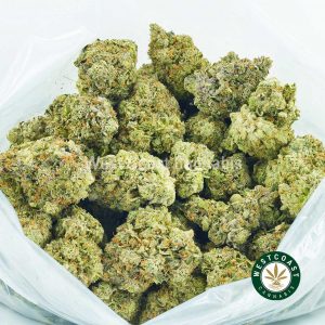 buy weed online Diablo Death Bubba strain weed for sale from west coast cannabis online dispensary canada. Purchase weed online. Cannabis canada buy weeds online.