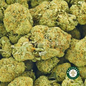 product photo of megalodon weed buds for sale online. Buy pot in canada. kosher kush strain, gorilla glue 4, hindu kush strain, rockstar strain & cotton candy kush weed for sale online.