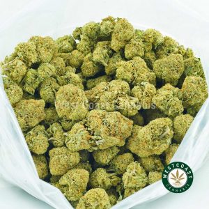 bag of megalodon weed strain for sale. online dispensary canada to buy weed. marijuana distillate, cherry pie marijuana, thin mint cookie strain for sale.