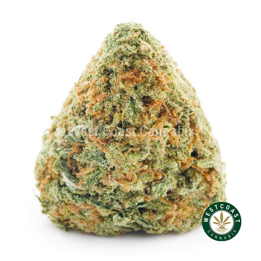 Strawberry Sweetness weed for sale online in canada from west coast cannabis online dispensary.