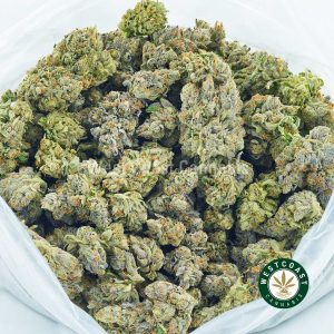 Buy Cannabis Blue Comatose at Wccannabis Online Shop