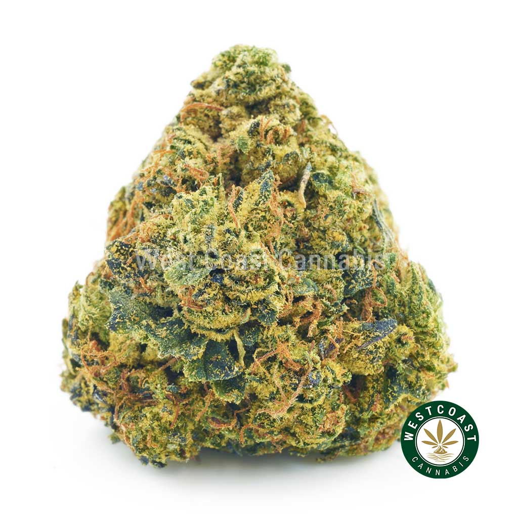 close up photo of skunk #10 weed strain nug. buy pot online canada. Buy marijuana online at this mail order marijuana dispensary in Canada. Buy weed edibles here.