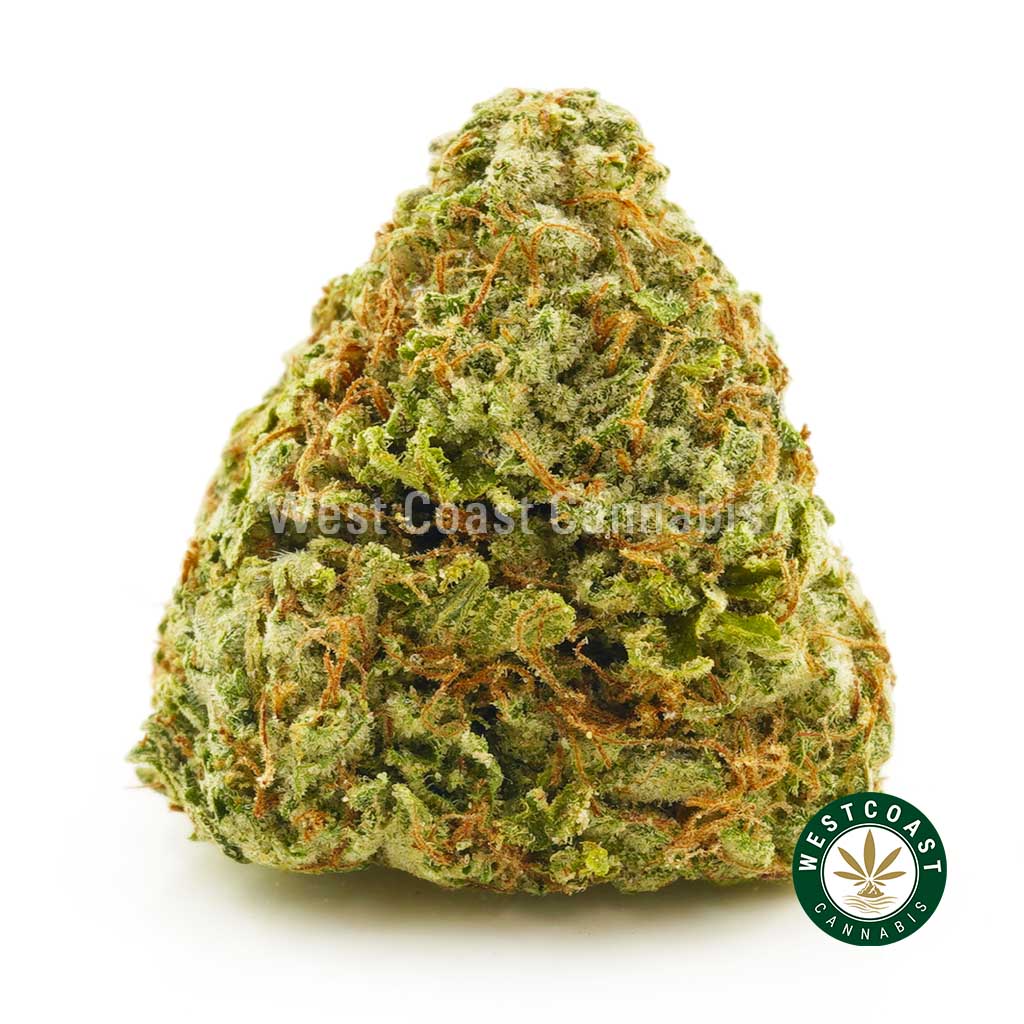 Pink Unicorn strain weed for sale online in canada from west coast cannabis online dispensary.