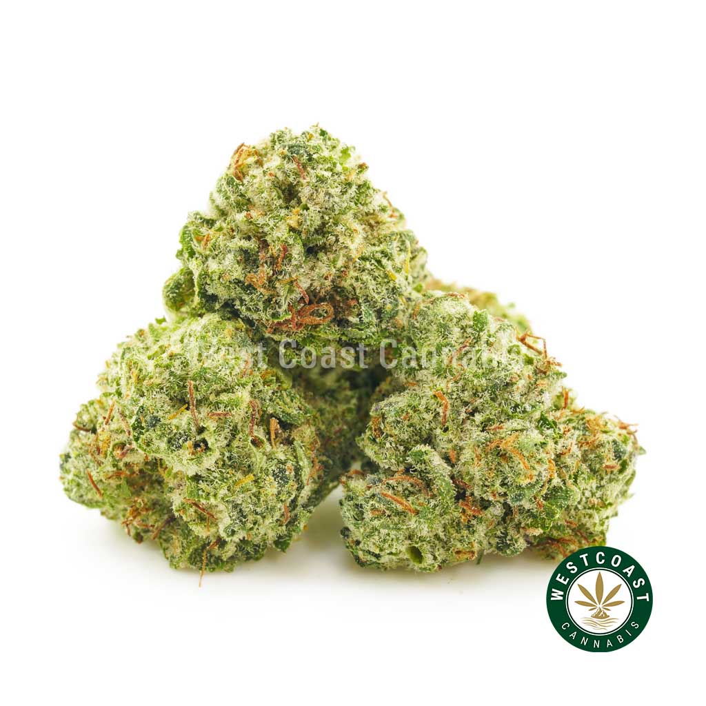 sweet berry popcorn weed to order online at west coast cannabis. online dispensary to buy weed online in Canada.