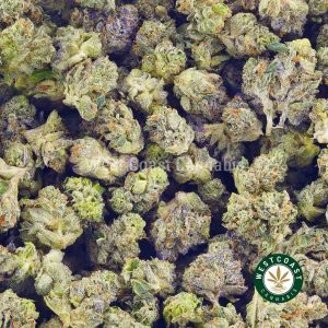 buy weed. Bubba Kush strain for sale online in Canada. Mail order marijuana dispensary BC.