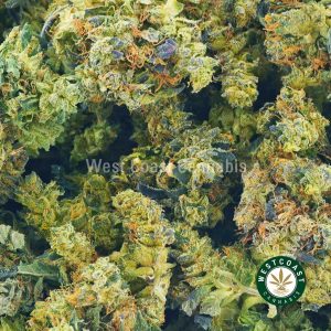 image of god bud cannabis weed strain for sale online. buy weed online dispensary west coast cananbis.