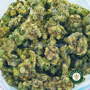 image of god bud weed strain for sale online dispensary canada. Buy weed strains online. Mail order weed, pink kush strain, crunch berry strain, and buy thc vape juice for sale Canada.