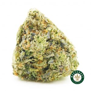 image of nugget of el diablo weed for sale. buy pot online. pink kush strain, hindu kush strain, and bubba kush weed. Best place for buying pot online in Canada.