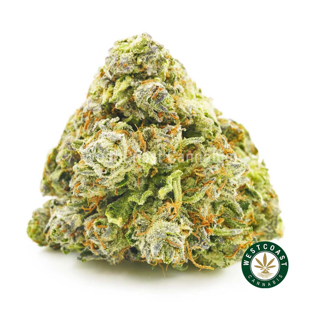 buy super gelato weed online fast shipping. Buy weed strains online. Mail order weed, pink kush strain, crunch berry strain, and buy thc vape juice for sale Canada.