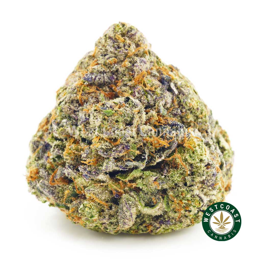 product photo pink god bud weed strain for sale online canada west coast cannabis. Best website for buying weed online. online dispensary with fast shipping.