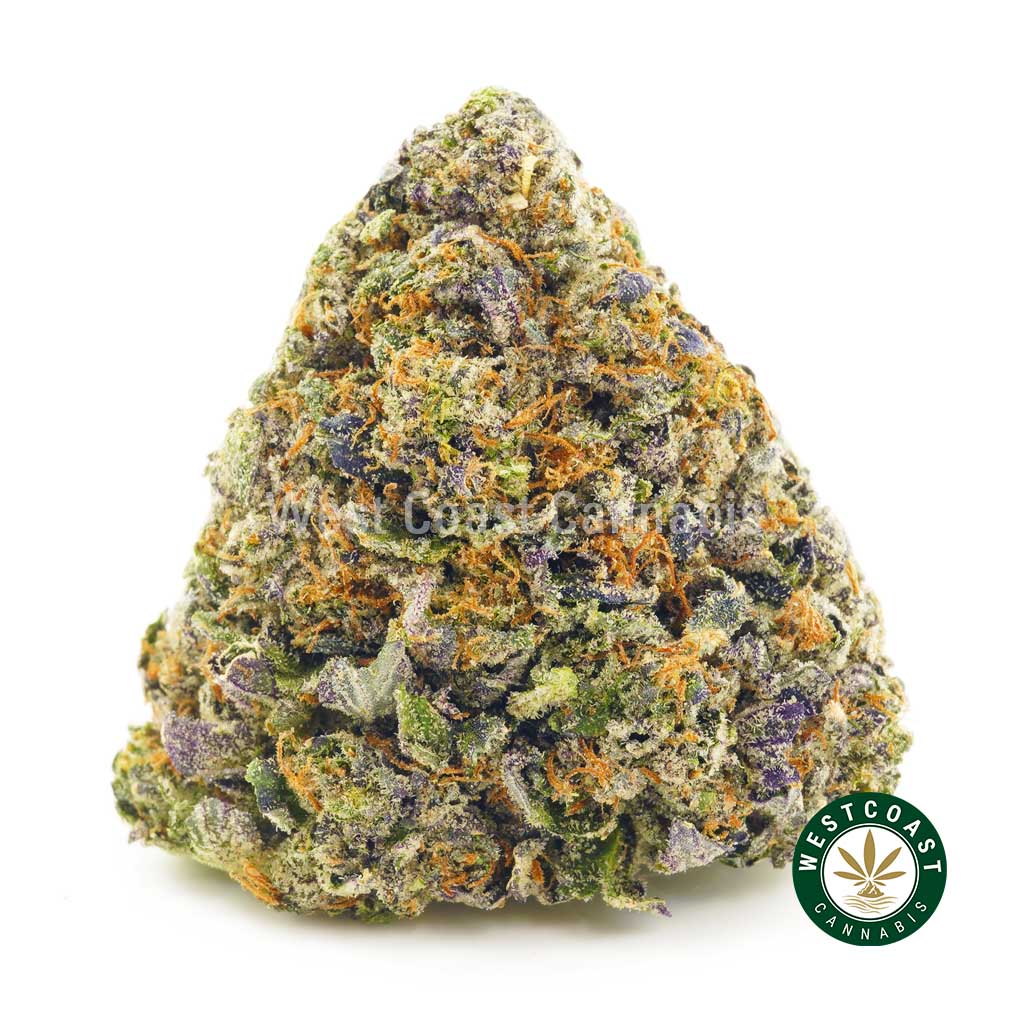 product photo for pink alien breath weed from wccannabis. Buy red congolese form the best online dispensary & online weed shop in canada. online weed shop get fast shipping.