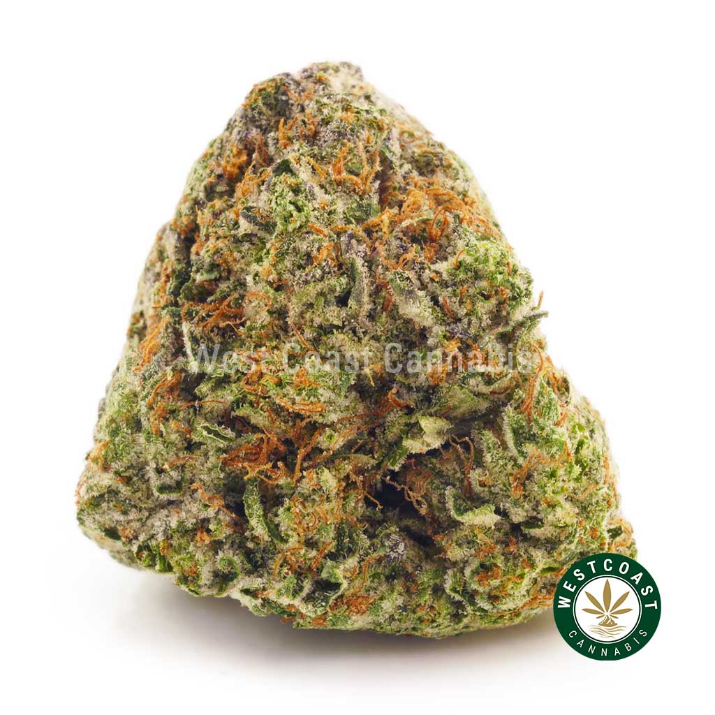 Nugs of pink mendo breath marijuana for sale online canada. Buy weed online. Buy red congolese form the best online dispensary & online weed shop in canada. online weed shop get fast shipping.