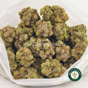 Nugs of pink mendo breath marijuana for sale online canada. Buy weed online. Buy red congolese form the best online dispensary & online weed shop in canada. online weed shop get fast shipping.