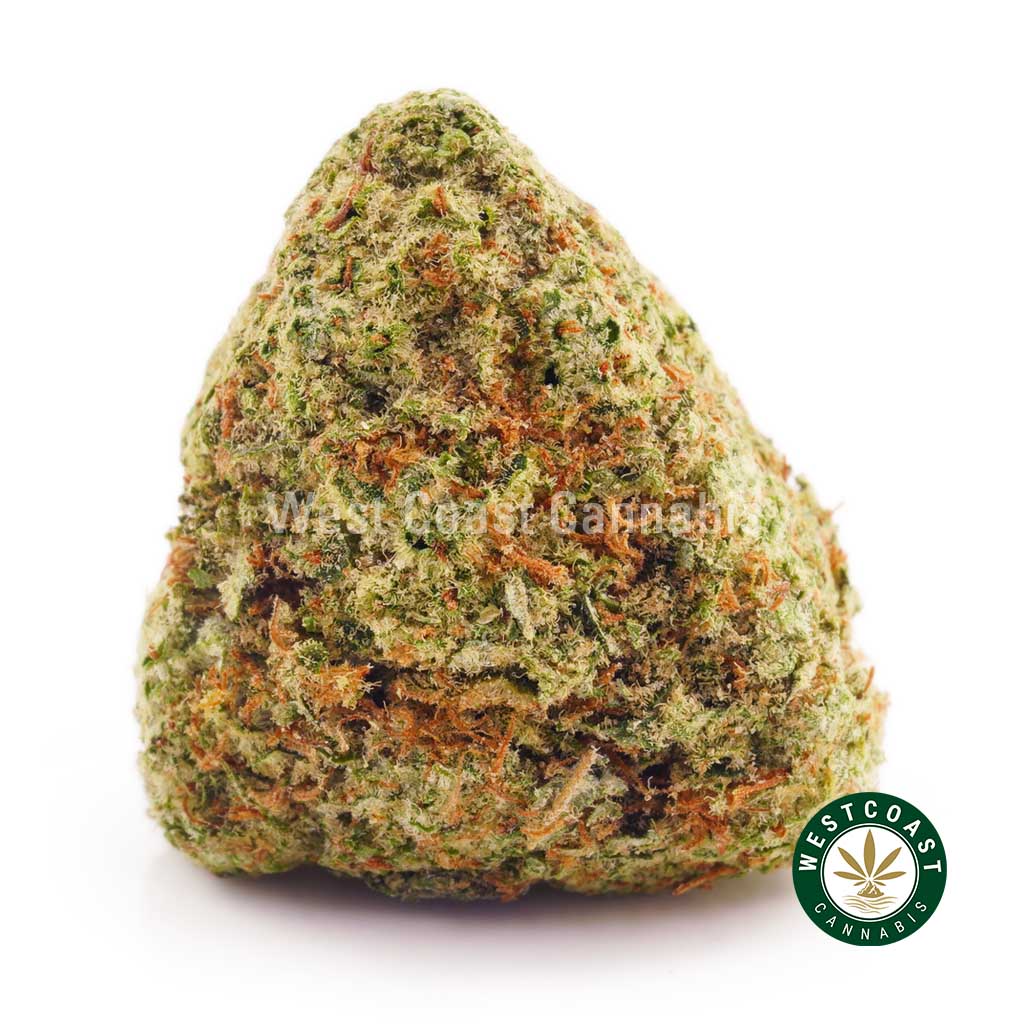 buy GSC weed and Girl Scout Cookies weed online in canada from west coast cannabis. online dispensary canada to buy weed. marijuana distillate, cherry pie marijuana, thin mint cookie strain for sale.